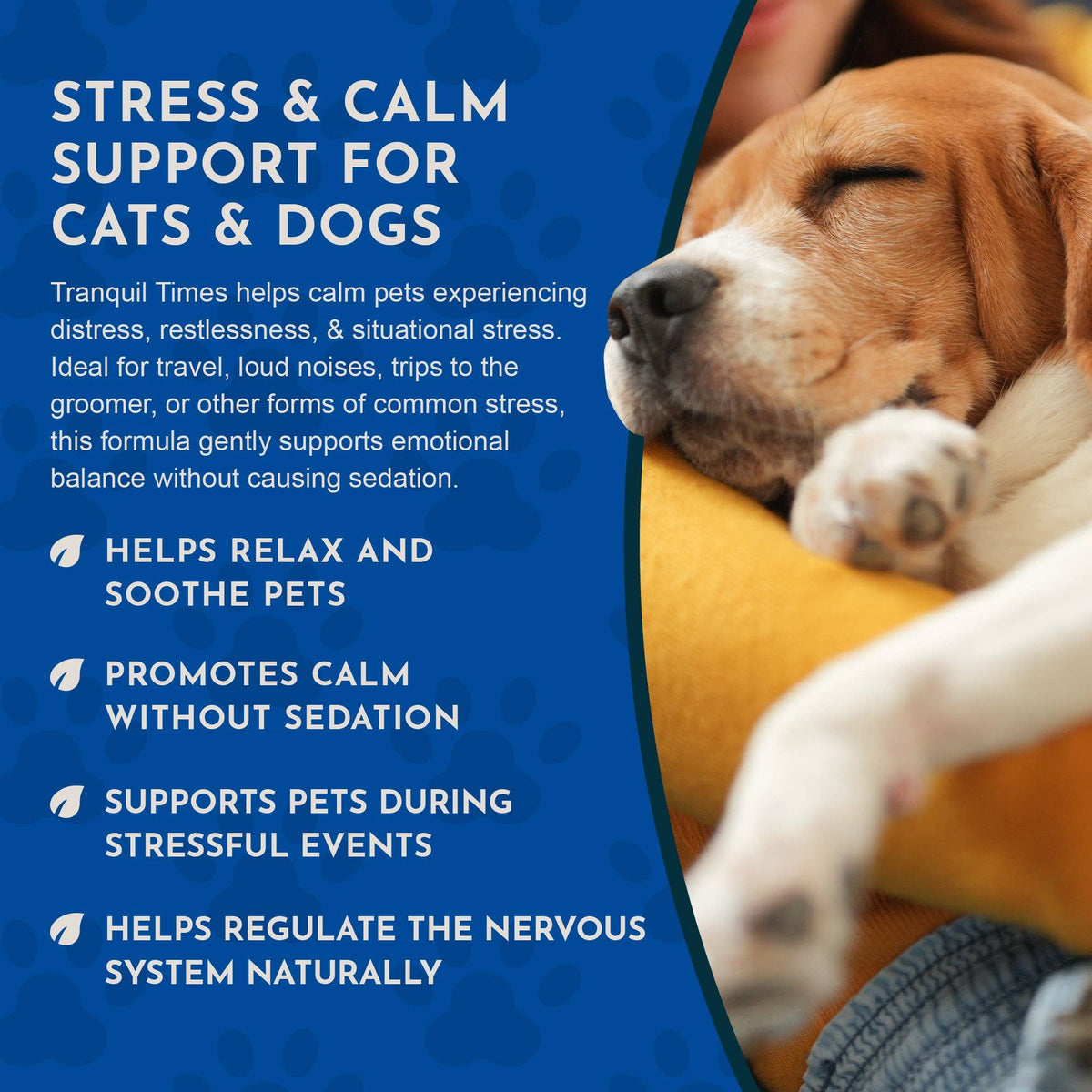 Tranquil Times Herbal Tonic Blend | Stress and Calm