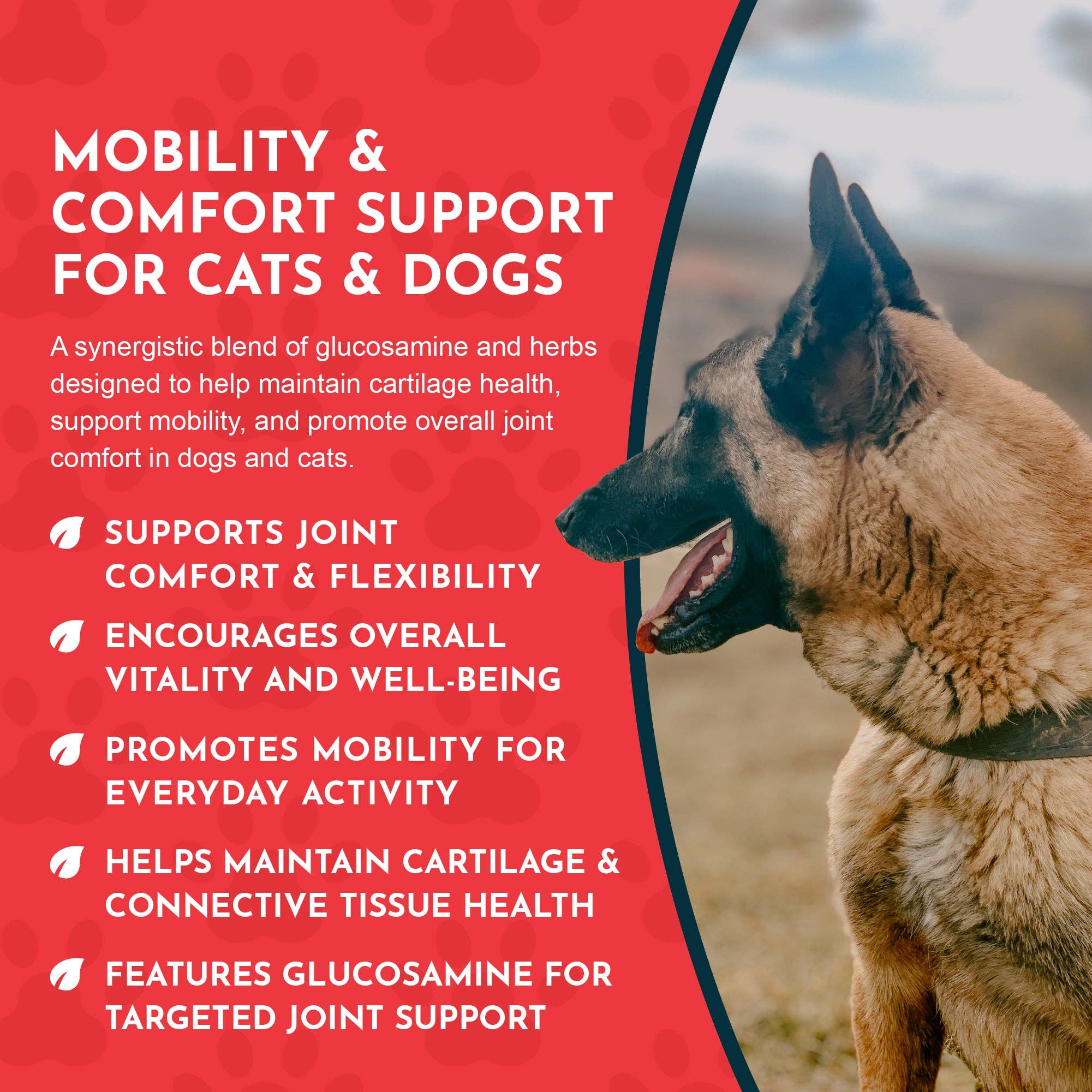 Joint Support Herbal Tonic Blend | Helps Stiffness and Soreness