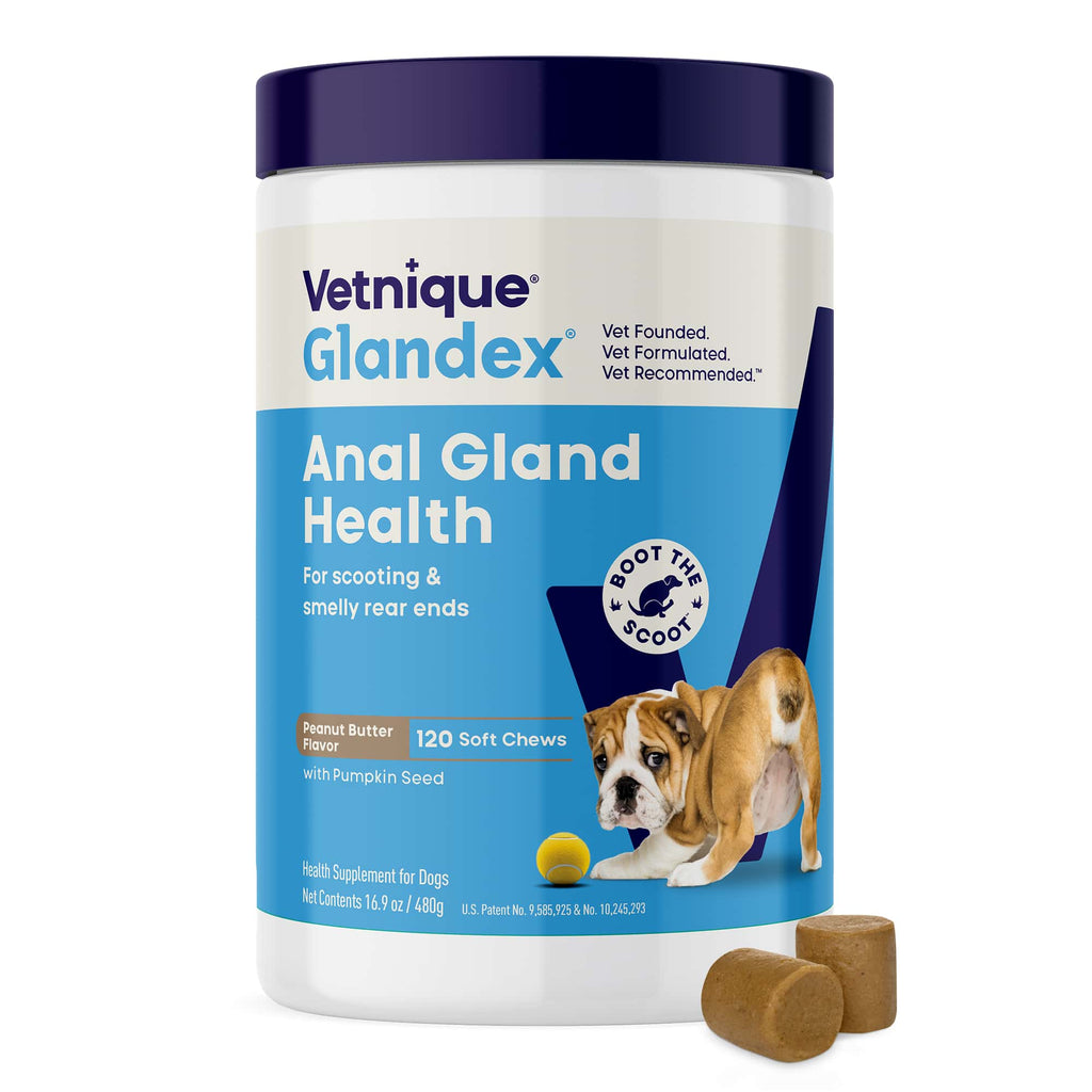Glandex Anal Gland Support Soft Chews Peanut Butter 120ct