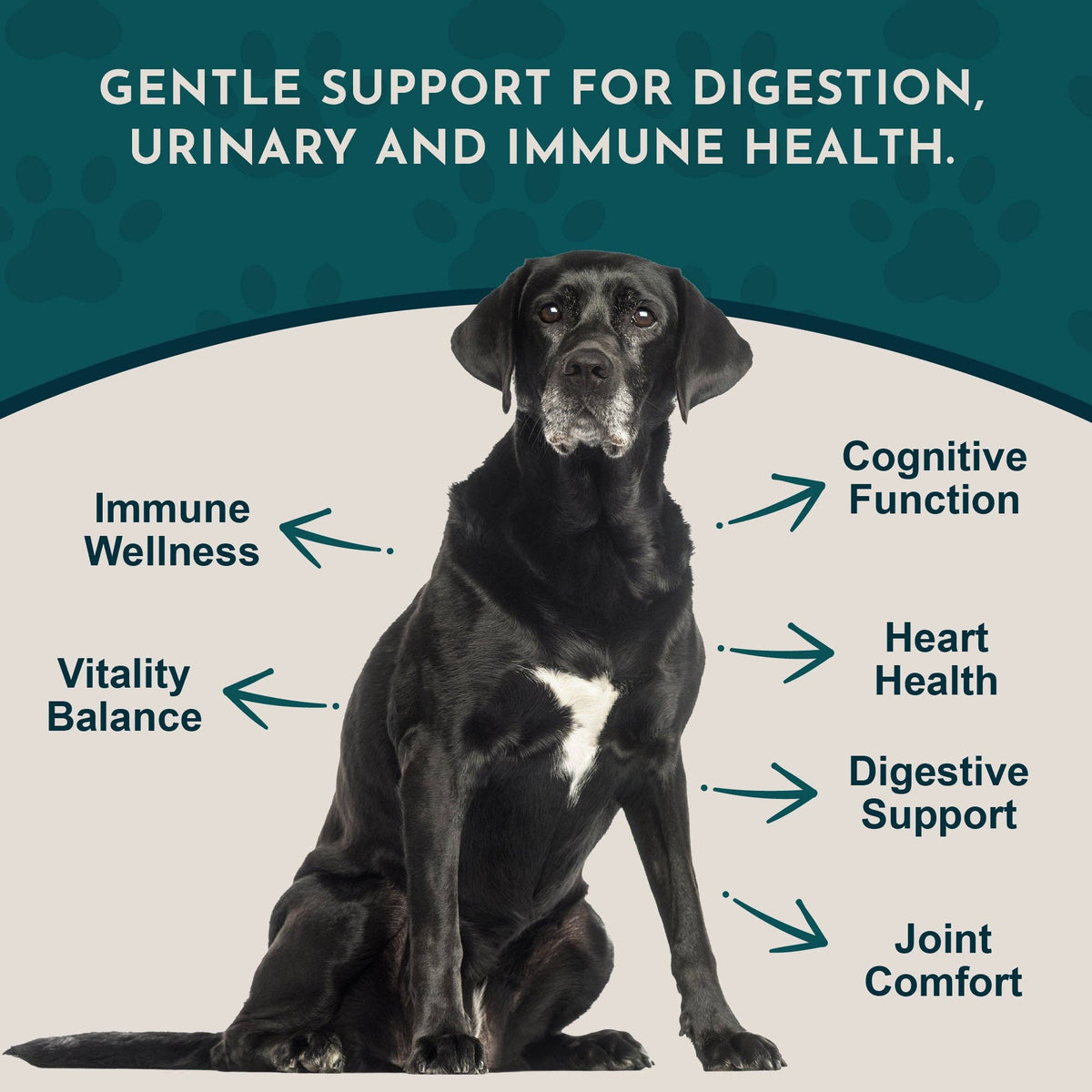 Senior Support Herbal Tonic Blend | Helps Maintain Optimal Health
