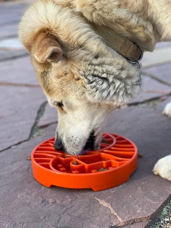 Sun and Moon eTray - Shallow Slow Feeder Dog Bowl for Enrichment | USA Made