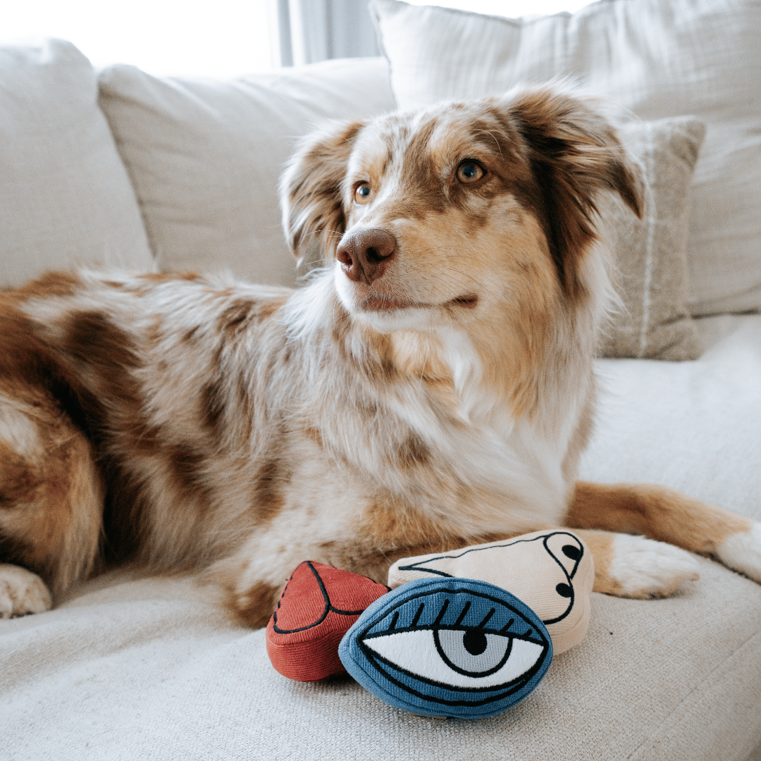 PICASSO // ENRICHMENT DOG TOY // Snuffle Set