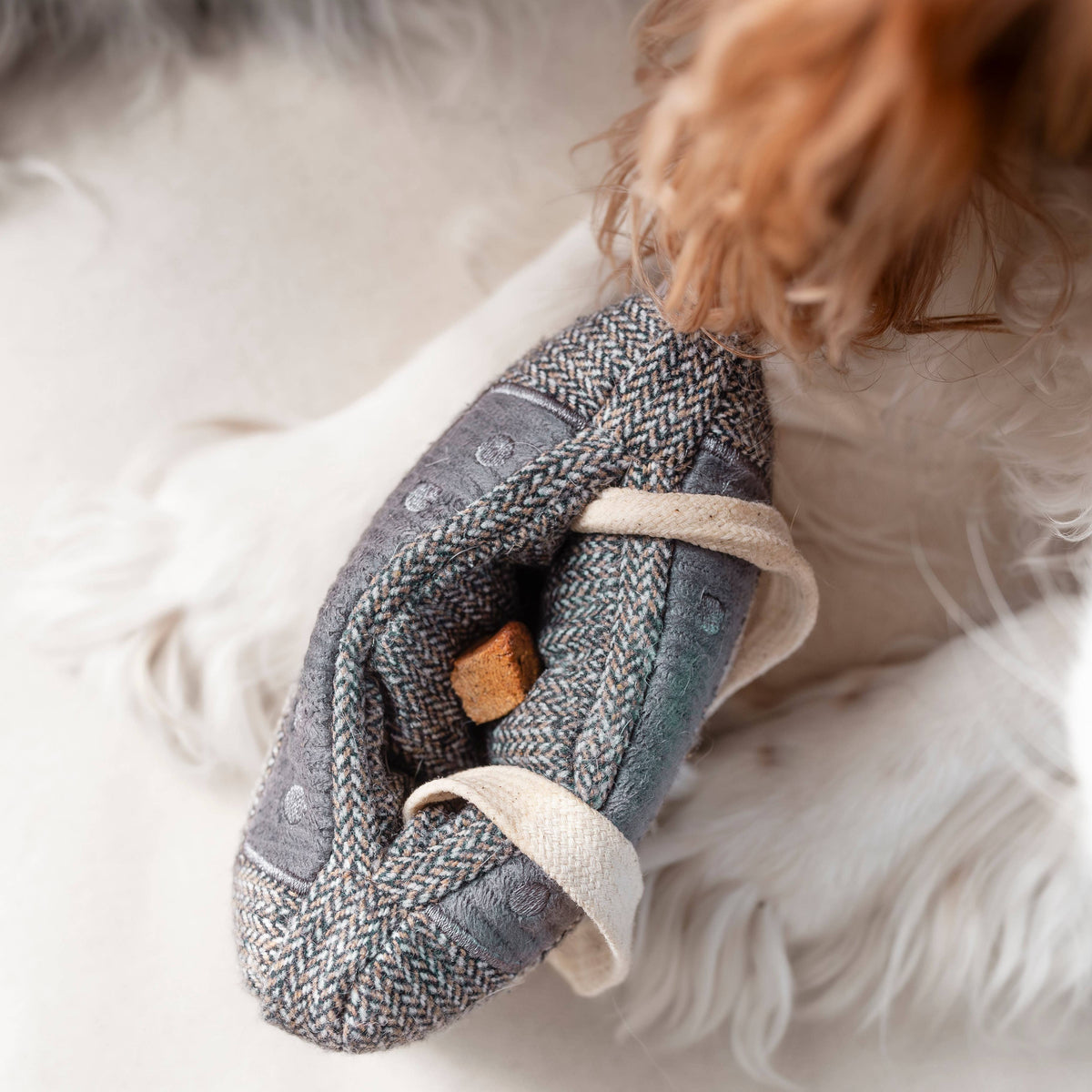 CASSETTE // ENRICHMENT DOG TOY // SNUFFLE TOY