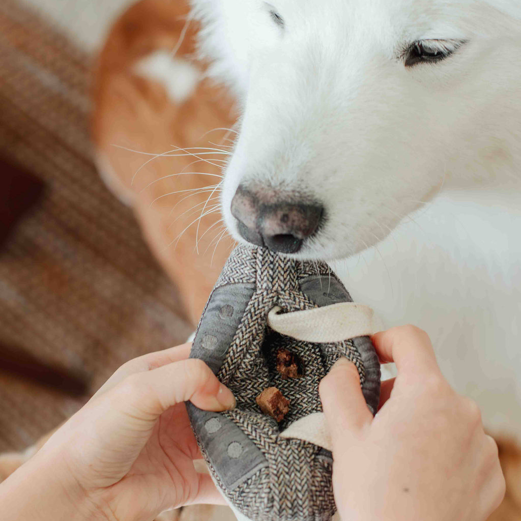 CASSETTE // ENRICHMENT DOG TOY // SNUFFLE TOY