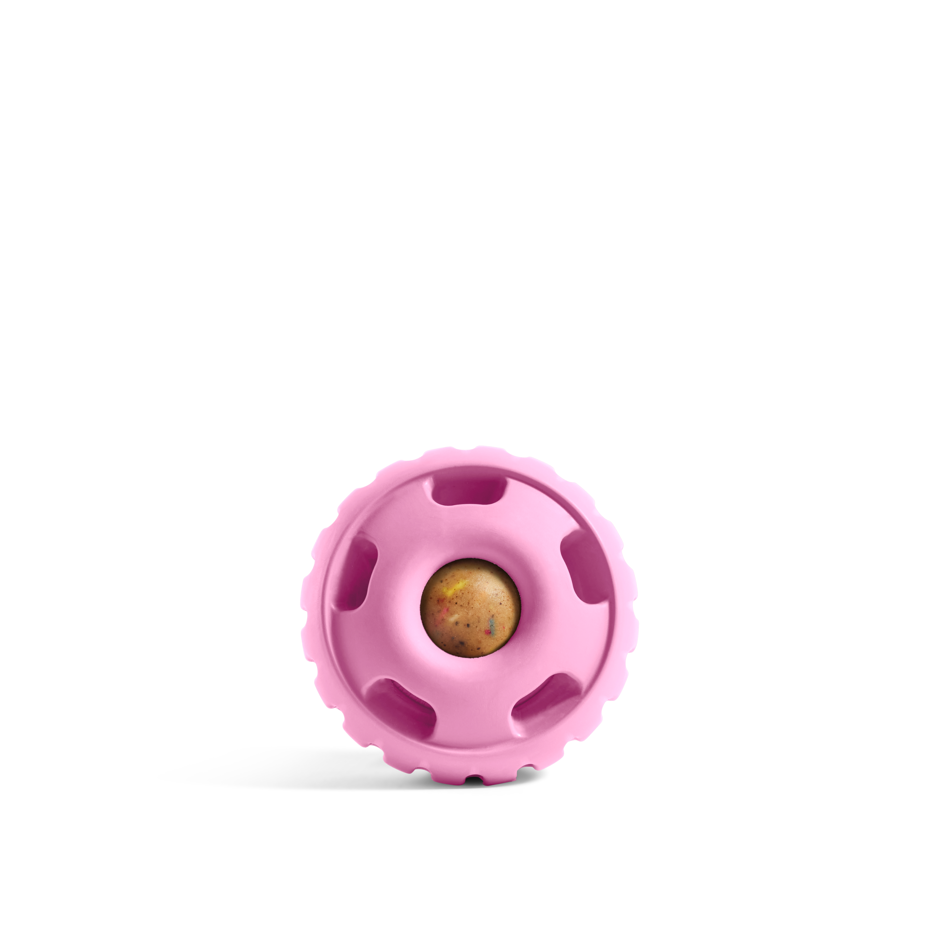 Woof | Party Pupsicle | Rochester, NY