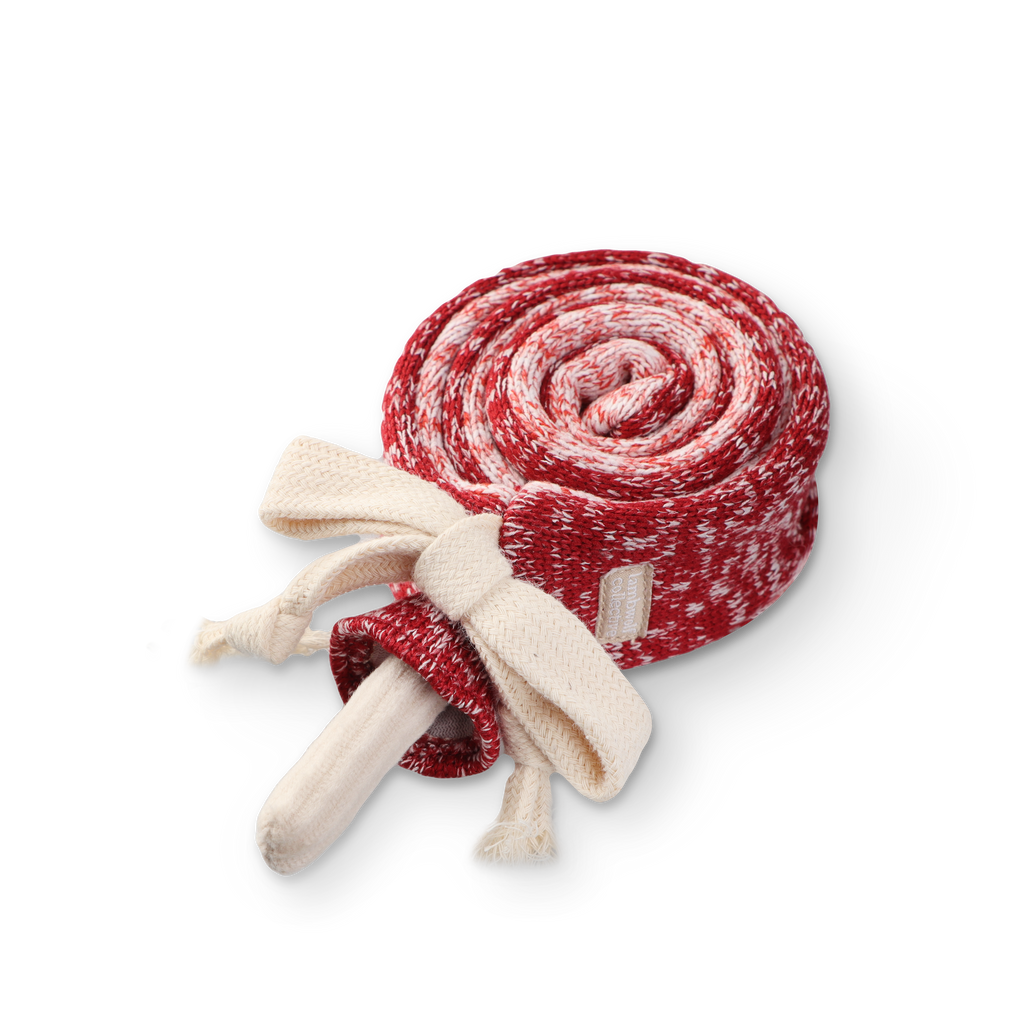 LOLLIPOP // ENRICHMENT DOG TOY // SNUFFLE TOY