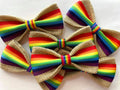 *Happy Pride Gay Pride LGBTQ 5"