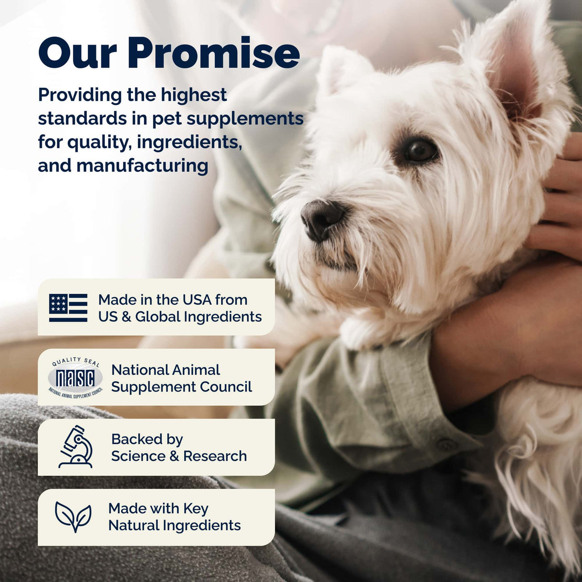 Glandex Anal Gland Support Soft Chews Peanut Butter 120ct