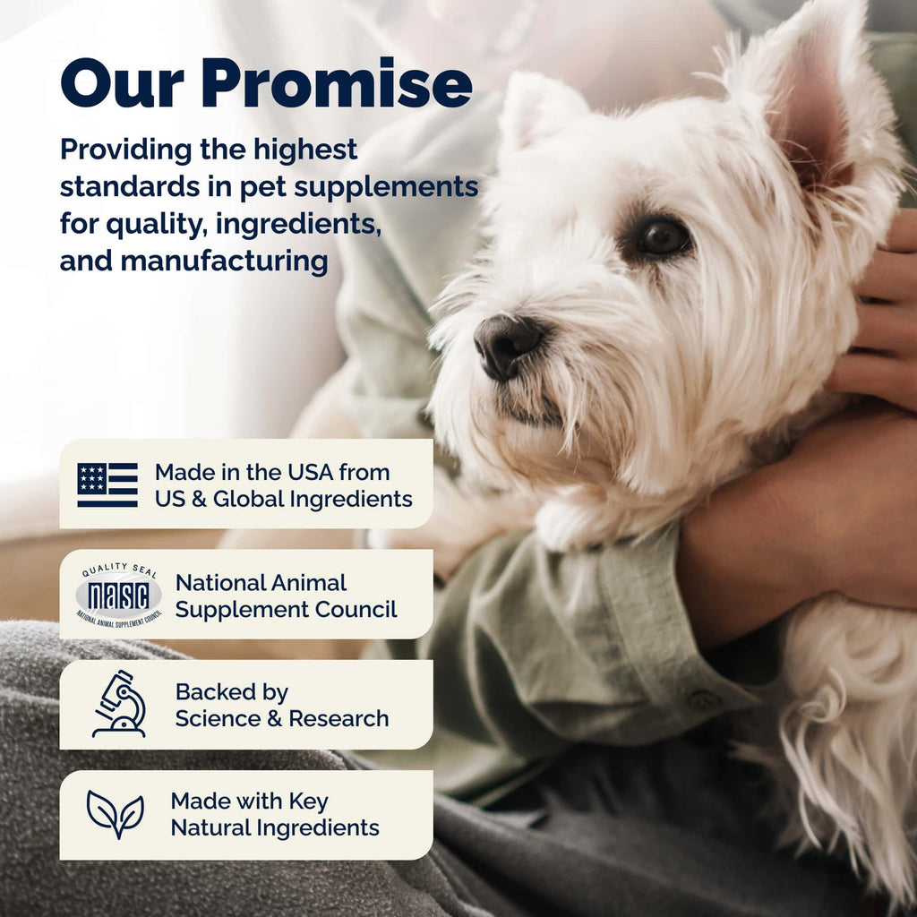 Glandex Anal Gland Support Soft Chews Peanut Butter 60ct