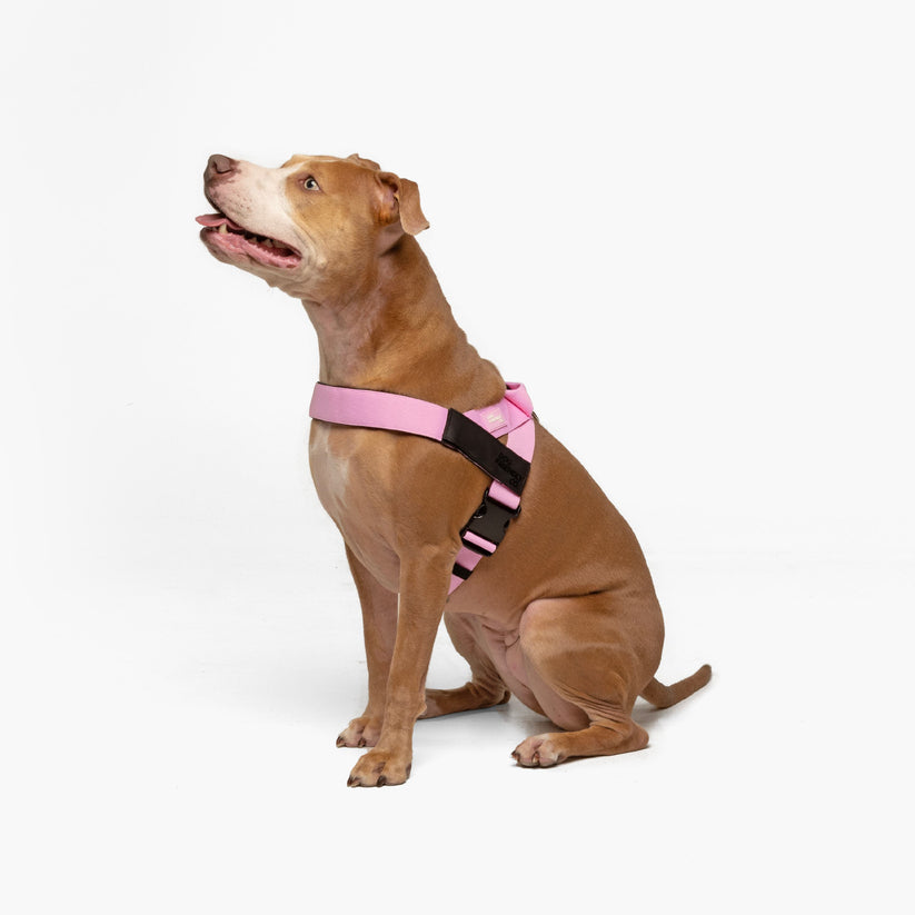 Dog Friendly Co Harness - Pink