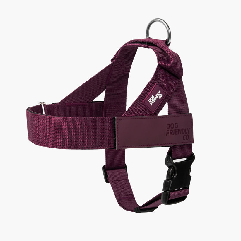 Dog Friendly Co Harness - Maroon