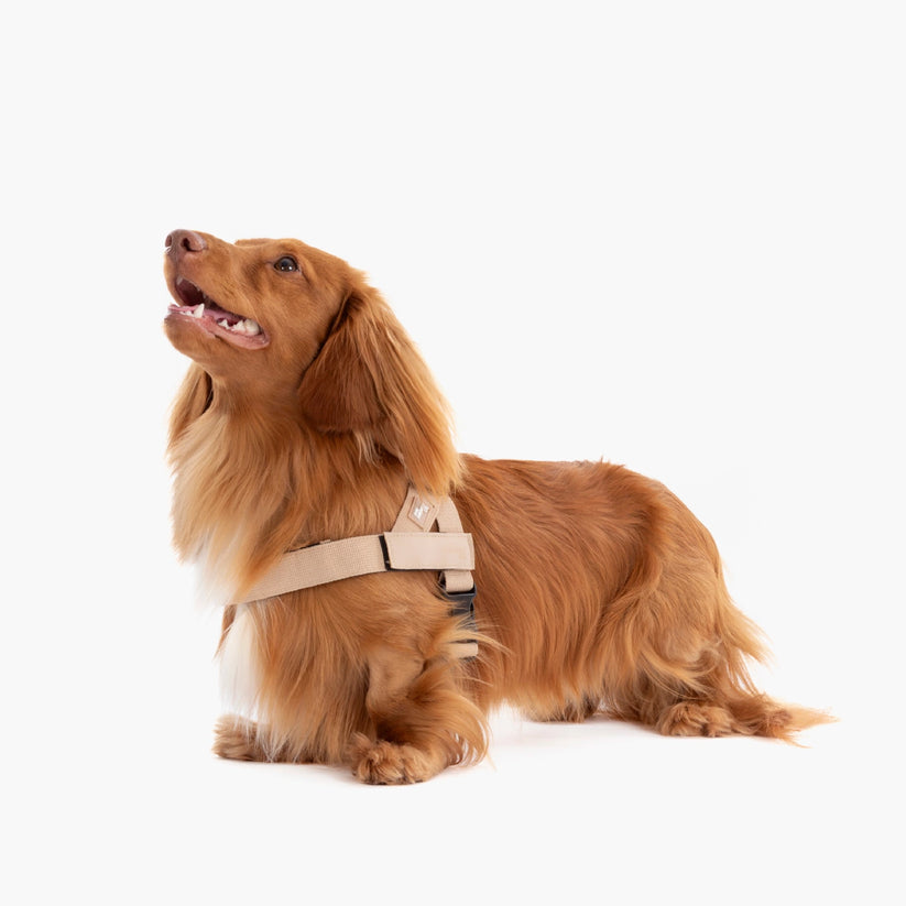 Dog Friendly Co Harness - Khaki