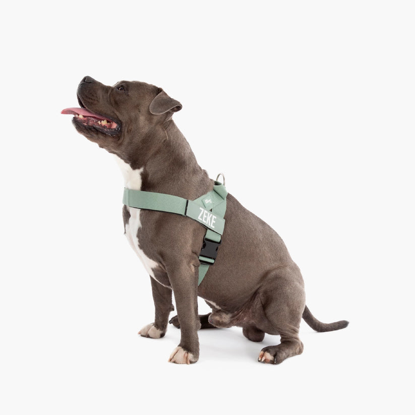 Dog Friendly Co Harness - Sage