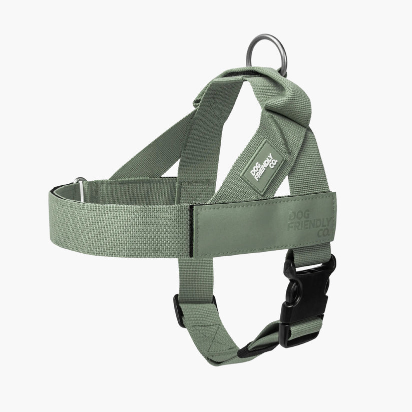 Dog Friendly Co Harness - Sage